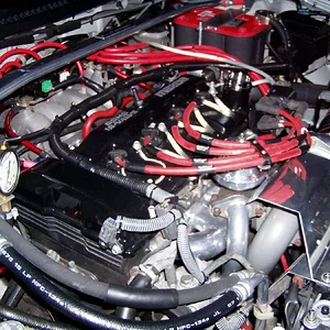 bruce is the man 2.webp