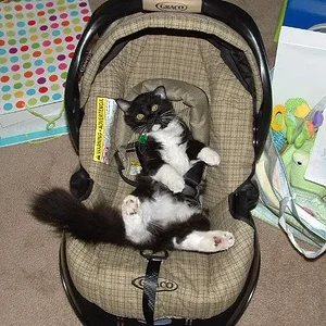 Mary's Bday 002.webp