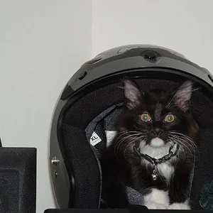 Moo Shu and Mary 043.webp