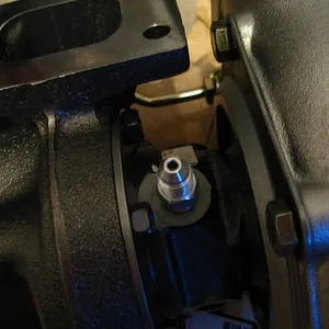 IMG_5001 (Large).webp