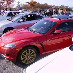 IMGP0596 (Large).webp