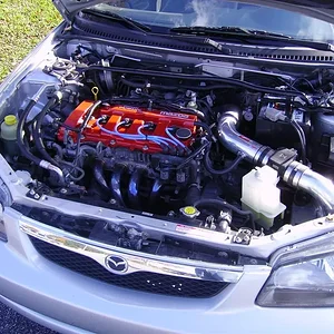 IMGP0593 (Large).webp