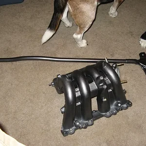 IMG_5088 (Large).webp