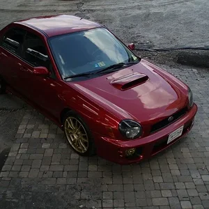 mysubie1.webp