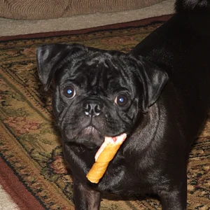 Weiss' Christmas 2005-58.webp