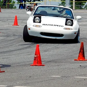 DSC_0287 copy crop.webp