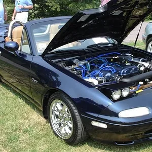 DSC01897 (Small).webp