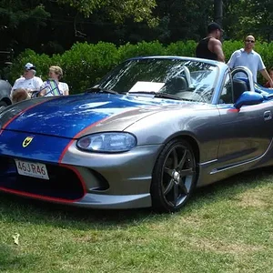 DSC01905 (Small).webp