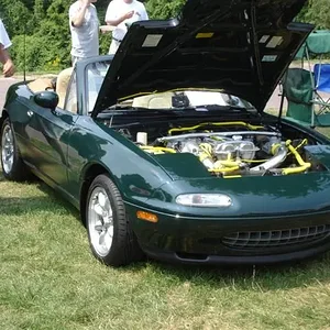 DSC01906 (Small).webp