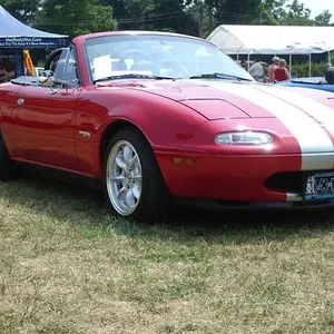 DSC01908 (Small).webp