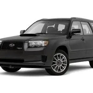 forester2.webp