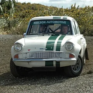 glenbervi forest 223.webp