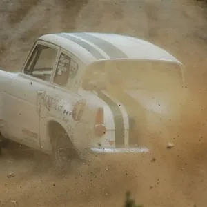 glenbervi forest 131.webp