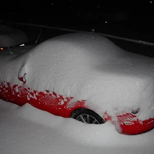 DSC01995 (Medium).webp