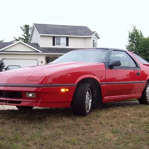 family pics 264.webp