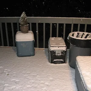 IMG_8935 (Large).webp