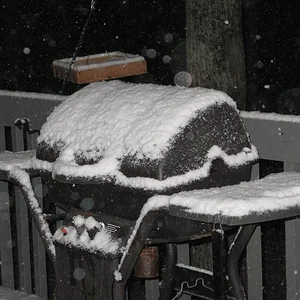 IMG_8937 (Large).webp