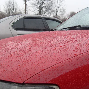 P5 - Bead Jan 29 2008.webp