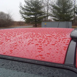 P5 - Bead Jan 29 2008 (1).webp