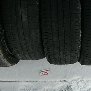 spring 2008 251.webp