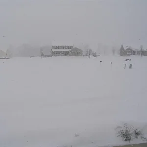 IMG_4155 (Large).webp