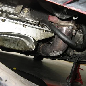 IMG_9231 (Custom).webp