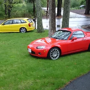 DSC02159 (Small).webp