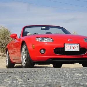 DSC02182 (Medium).webp