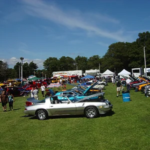 american muscle.webp