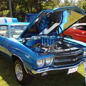 american muscle2.webp