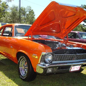 american muscle3.webp