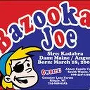 bazooka-joe-banner.webp