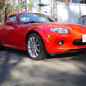 DSC02565 (Medium).webp