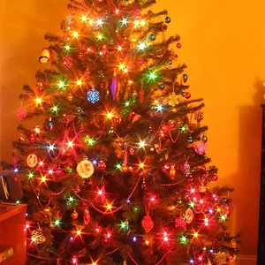 IMG_9943 (Custom).webp