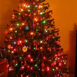 IMG_9942 (Custom).webp