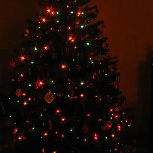 IMG_9941 (Custom).webp