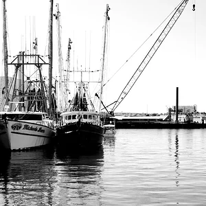 Copy of IMG_0054.webp