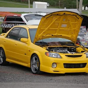 DSC_0232 (Medium).webp