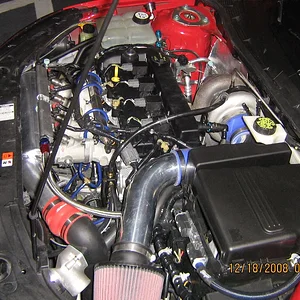 PICS 121808 001.webp