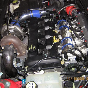 PICS 121808 003.webp