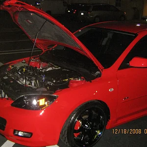 PICS 121808 004.webp