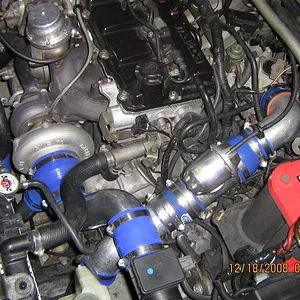 PICS 121808 007.webp