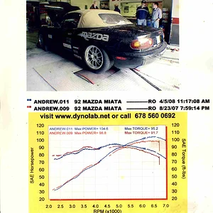 Dyno3.webp