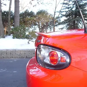 DSC02677 (Medium).webp