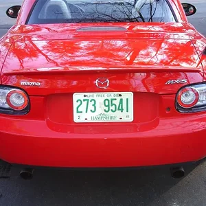 DSC02679 (Medium).webp