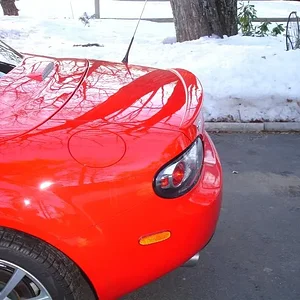 DSC02680 (Medium).webp