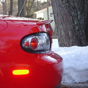 DSC02681 (Medium).webp