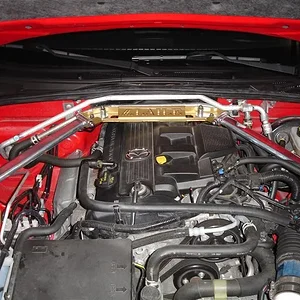 DSC02683 (Medium).webp