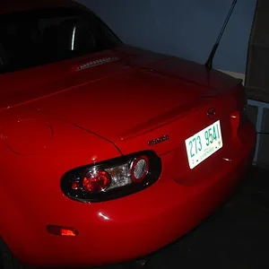 DSC02684 (Medium).webp