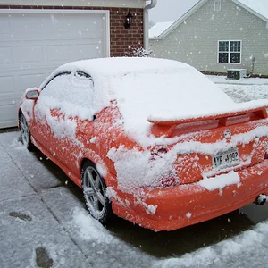 SnowDay2009 007.webp